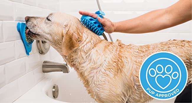 Köpek Banyo Fırçası (7)
