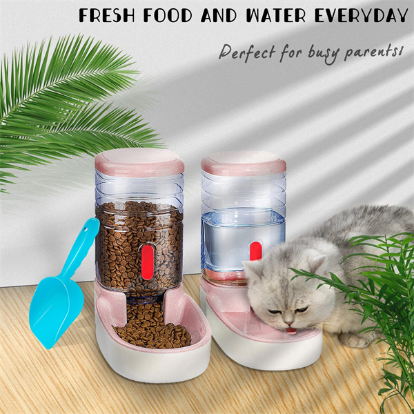 Automatic Pet Feeder (3)