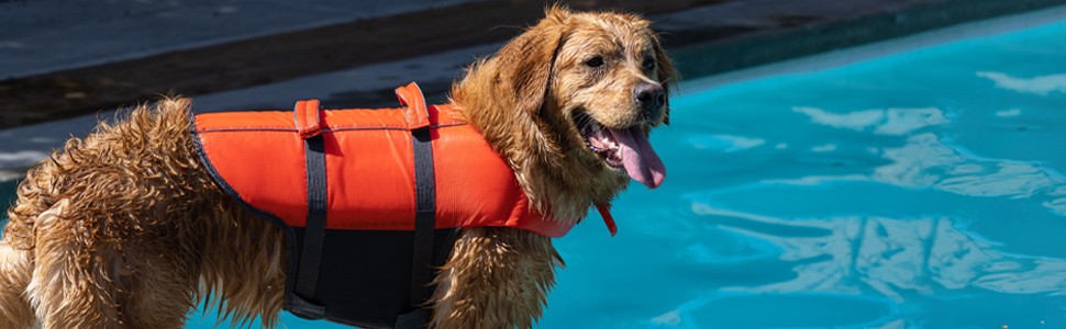 Dog Life Jacket (9)