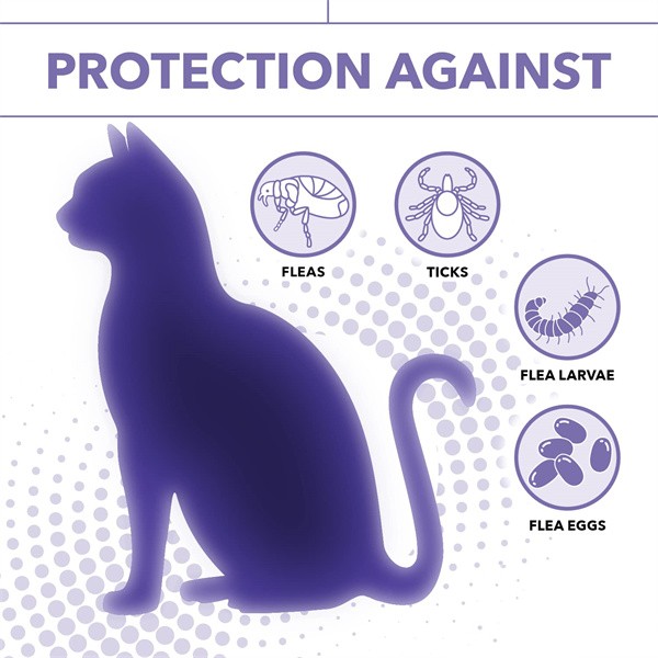 flea collar for cats (5)